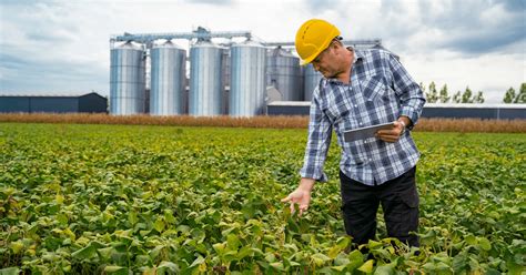 Tecnico Em Agronegócio Salario - Agronegócio: Saiba quais são as as carreiras com os maiores salários ...