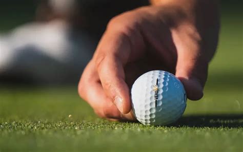 Golfing 101 Different Types Of Course Grasses