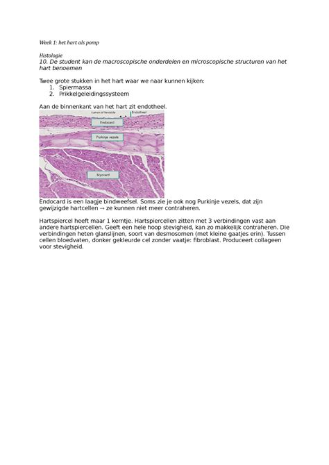 Histologie Wk 1 College Aantekening 1 Week 1 Het Hart Als Pomp