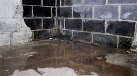 The Benefits Of Professional Basement Waterproofing Enhancing Your