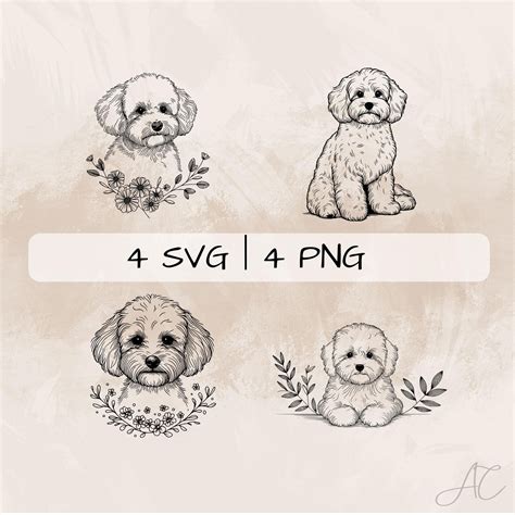 35 Maltipoo ideas in 2025 | dog grooming styles, shih tzu hair styles