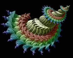 Fractal Geometry of Nature by Mandelbrot Benoit - AbeBooks