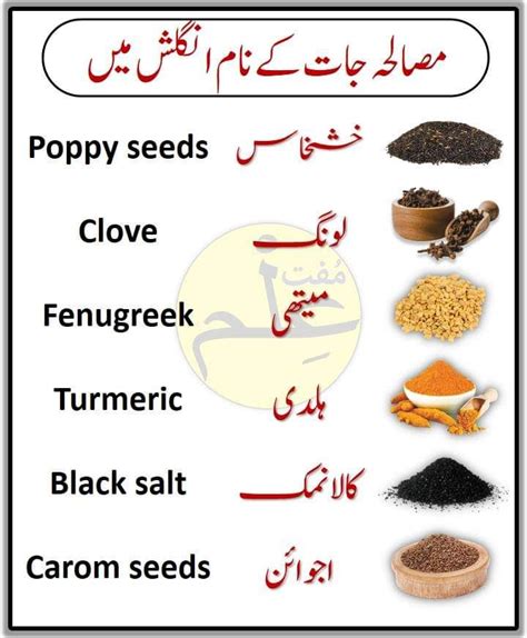 Evenly Matched In The Skills Poppy Seeds Called In Urdu