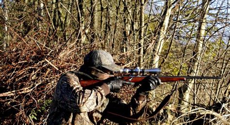 Best Semi Auto 308 Our Top 4 Picks To Consider Best Rifle Scope