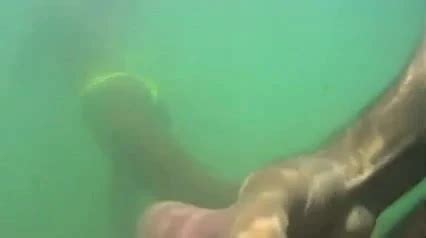 Martinique Porn Videos Free XXX Rated Sex Videos XHamster