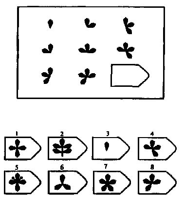 Прогрессивные матрицы Равена (тест Равена) Серия C - Psylist.net