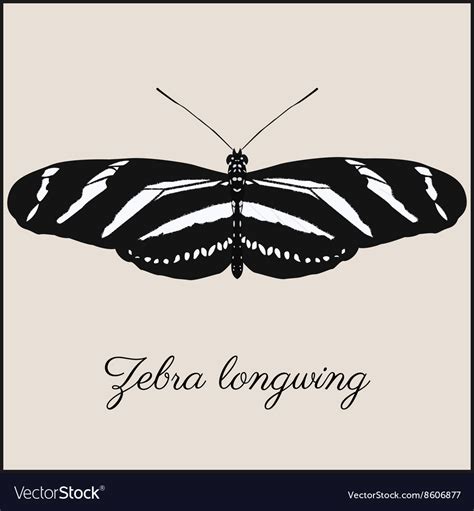 Zebra Longwing Butterfly Card Royalty Free Vector Image