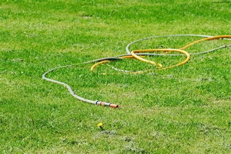 Rubber Hose And Green Grass Stock Image Image Of Horticulture