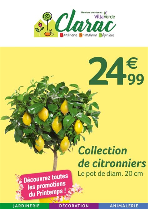 Promosprintemps Jardinerie à Pamiers en Ariège Clarac