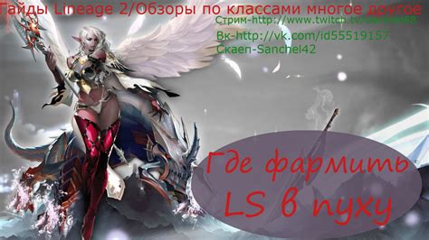 Как фармить ЛС в Lineage 2\скилы в пуху(ГАЙД) - YouTube