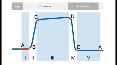 end tidal co2 monitoring waveforms - Glory Lindberg