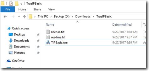 HazteK TrueIP Basic Displays IP Address in Windows