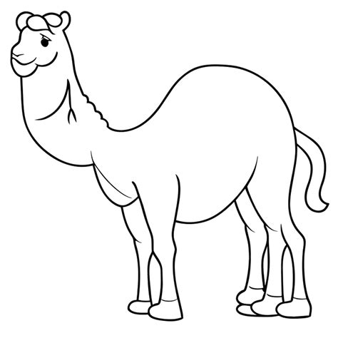 Printable Camel Coloring Pages Pdf Coloringfoldercom Opens A New Tab