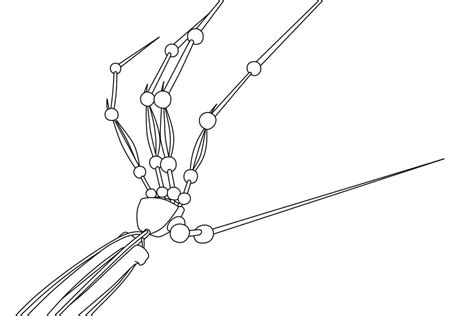 Prototype Poppy Playtime coloring pages - ColoringLib
