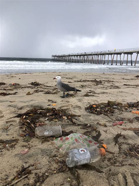 Headlines: 'Bacteria Warnings' Issued For Four L.A. Beaches; Walk of
