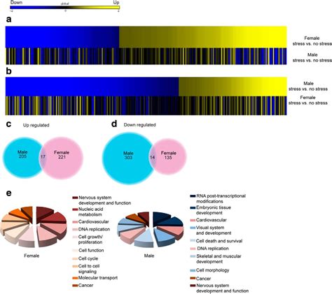 Sex Differences In Nucleus Accumbens Transcriptome Profiles Associated With Susceptibility