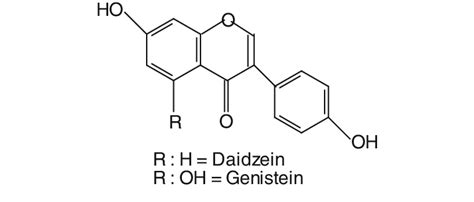 Chemical Structure Of The Phytoestrogenic Isoflavones Daidzein And