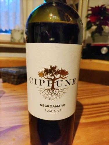 Cippune Negroamaro Vivino