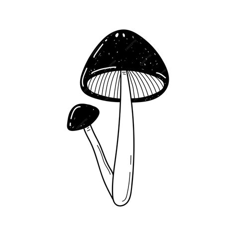 Premium Vector Vector Hand Drawn Two Mushrooms Sketch Isolated On White Background Amanita