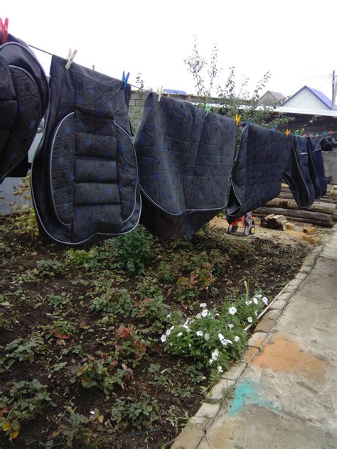 чехлы — Daewoo Nexia (N150), 1,5 л, 2010 года | мойка | DRIVE2