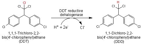 EAWAG BBD Reaction ReacID R0512