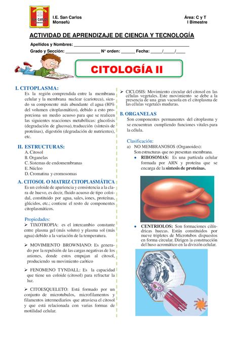 Estructura Del Citoplasma Para Segundo Grado De Secundaria Monsefú I Bimestre Actividad De