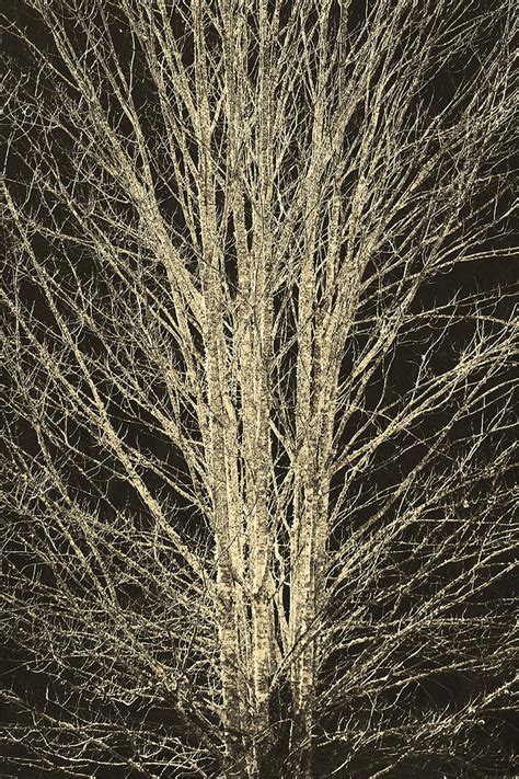 Naked Photograph By Itai Minovitz Pixels