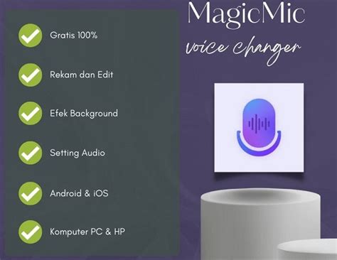 Download Gratis Aplikasi Pengubah Suara