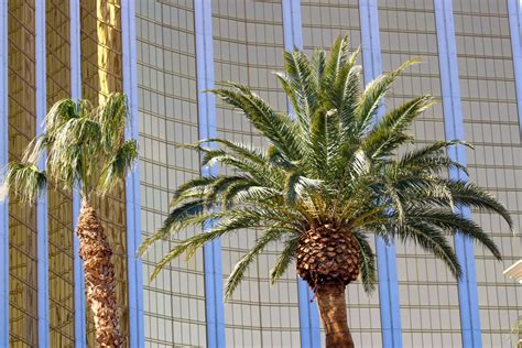 Home [nirvanahotelvegas.com]