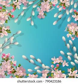 Spring Vector Background Pussy Willow Branches Stock Vector Royalty Free 790423186 Shutterstock