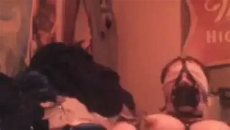 Free Sissy Bondage Gay Porn Videos XHamster