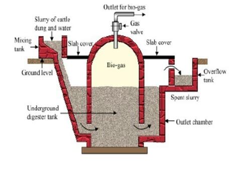 Draw A Neat Labelled Diagram Of Biogas Plant