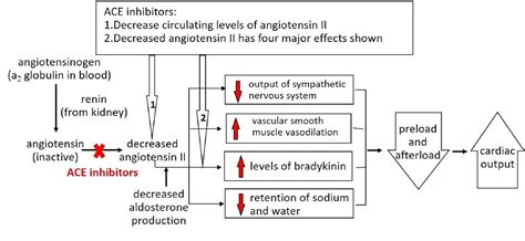 Image:Mechanism of action of ACE inhibitors-Merck Veterinary Manual