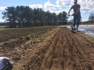 Grower Profile Mighty Soil Farm High Mowing Organic Non GMO Seeds