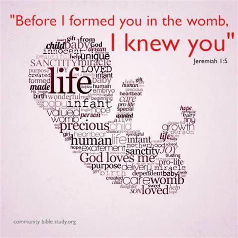 Sanctity Of Life Bible Verses Intensive Weblog Diaporama