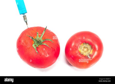 Gmo Tomatoes Vs Organic