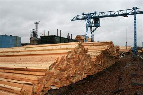 В Томске обнаружили контрабанду древесины на 24 миллиона рублей