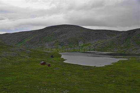 Tundra In The Summer Arctic Between Gamvik And Mehamn Nordkinn