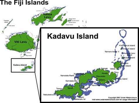 Kadavu Island Kava The Work Horse Of The Fiji Kava Islands