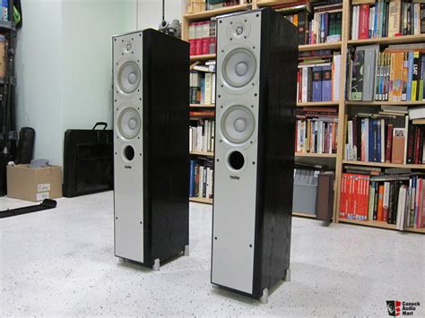 infinity primus p floorstanding speakers photo  canuck