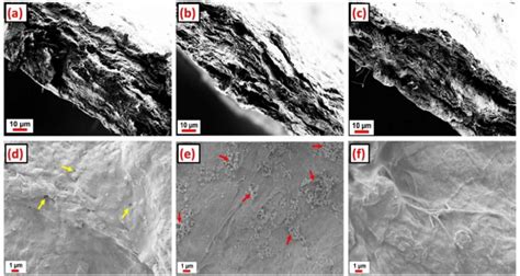3. Scanning electron microscope images of cross-sections (a, b, c) and ...