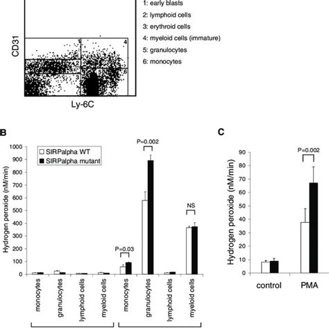 Phagocyte NADPH Oxidase Activity Is Enhanced In Macrophages And