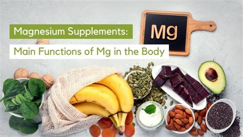 What Are The 3 Main Functions Of Magnesium In The Body Organixx