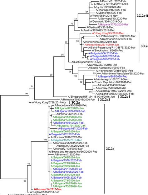 Phylogenetic Analysis Of The Ha Nucleotide Sequences From Influenza