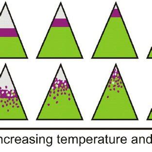 Schematic illustration of vegetation zones on a mountain determined by ...