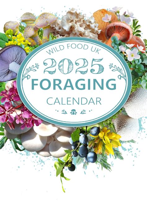 Wild Food UK 2025 Calendar - Foraging