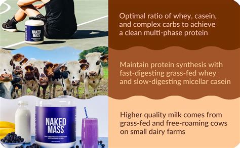 Amazon NAKED Chocolate Peanut Butter Mass 1 280 Calories 50G Protein Nothing Artificial