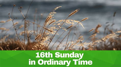 Sunday Mass For The 16th Sunday In Ordinary Time YouTube