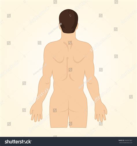 European Man Standing Back Naked View Stock Vector Royalty Free Shutterstock