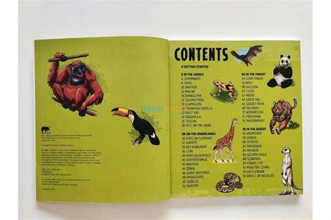 Ready, Set, Draw Wild Animals – – Booky Wooky